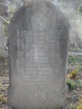 image of grave number 295301